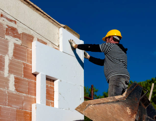 Best Spray Foam Insulation in Selmont West Selmont, AL