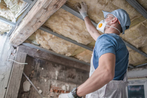 Types of Insulation We Offer in Selmont West Selmont, AL