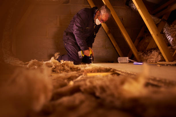 Best Spray Foam Insulation in Selmont West Selmont, AL